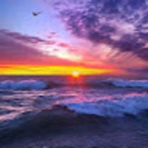 Meet your Posher, Bailey